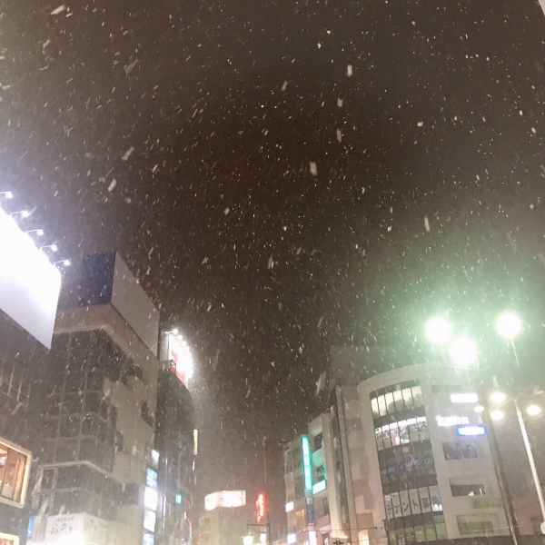 雪(*´ω`*)